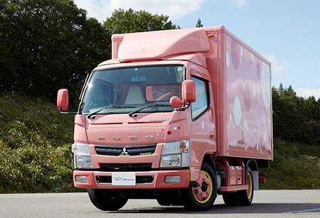 Canter Eco Hybrid &lsquo;Canna&rsquo;